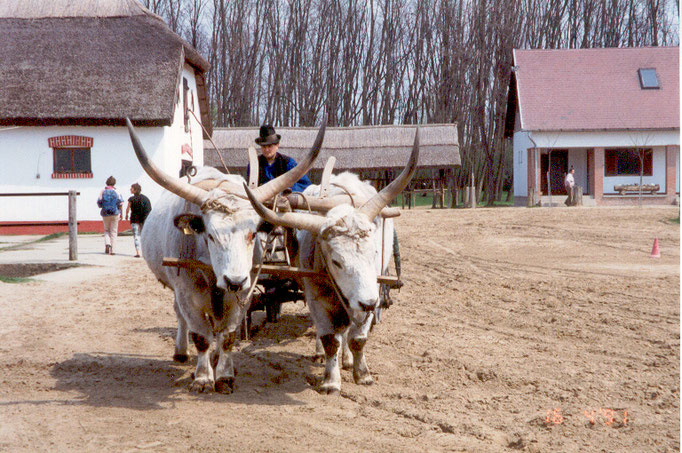 Budapest '91.