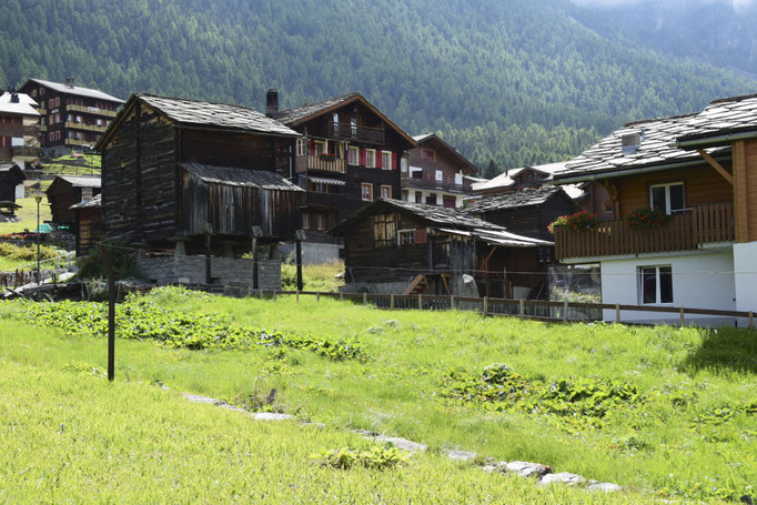 Grächen '14.