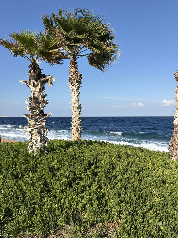 EGY, Soma Bay Golf