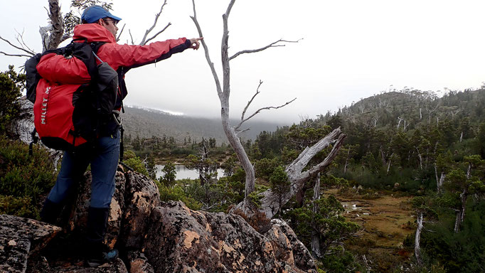 NOUVELLE-ZELANDE, AUSTRALIE, TASMANIE, projet Azimut Brutal : progression sauvage en pleine forêts primaires et bushs