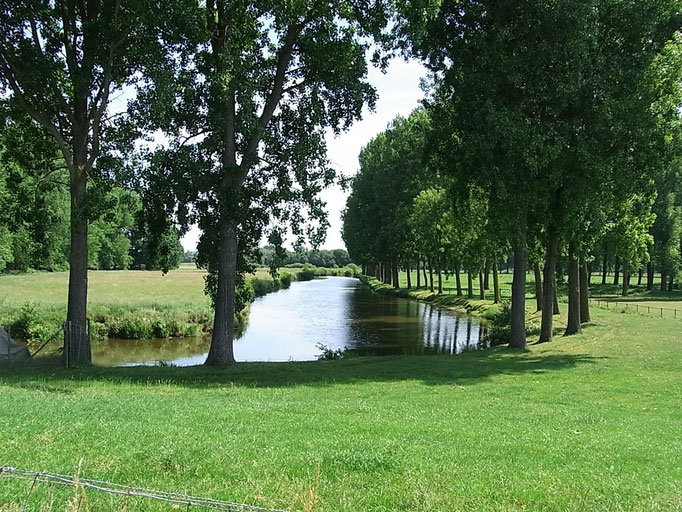 Zwischen St. Odilienberg & Herten