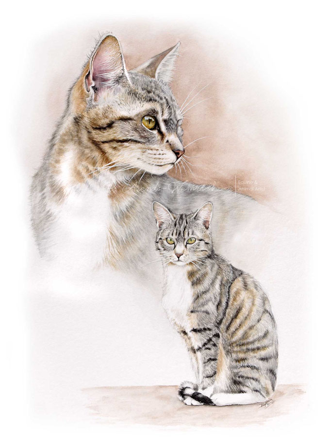 Katzen Portrait gemalt in Aquarell nach eigener Fotovorlage. Format 30 x 40 cm. 