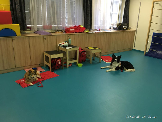 Islandhunde von Vienna City, Bessy und Luna beim Einsatz im Kindergarten