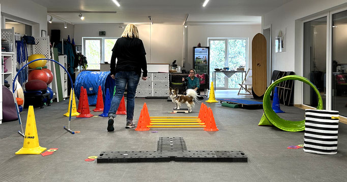 Fitness Loops © Hundeschule gooddog