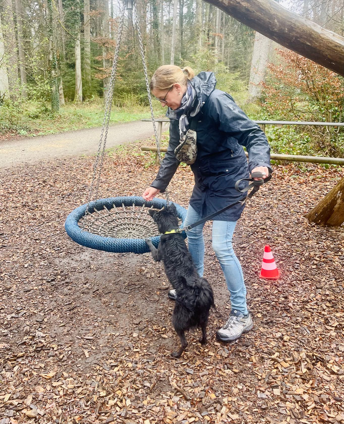 Lernspaziergänge © Hundeschule gooddog