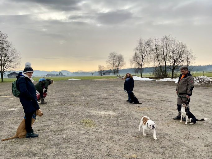 Rückruftraining © Hundeschule gooddog