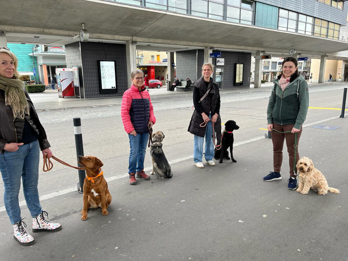 Führung © Hundeschule gooddog