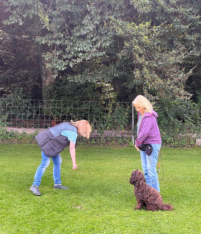 Anti-Giftköder-Kurs @ Hundeschule gooddog