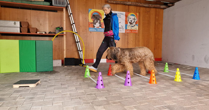 Fitness Loops © Hundeschule gooddog
