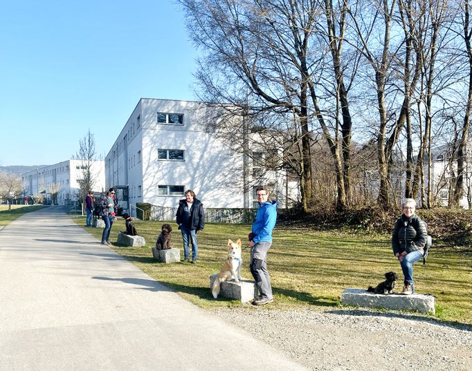 Lernspaziergänge © Hundeschule gooddog
