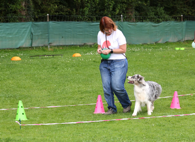 Hundeplausch/Plauschgruppe © Hundeschule gooddog