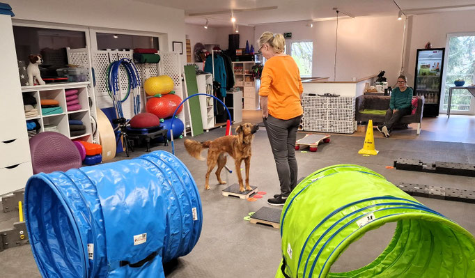 Fitness Loops © Hundeschule gooddog