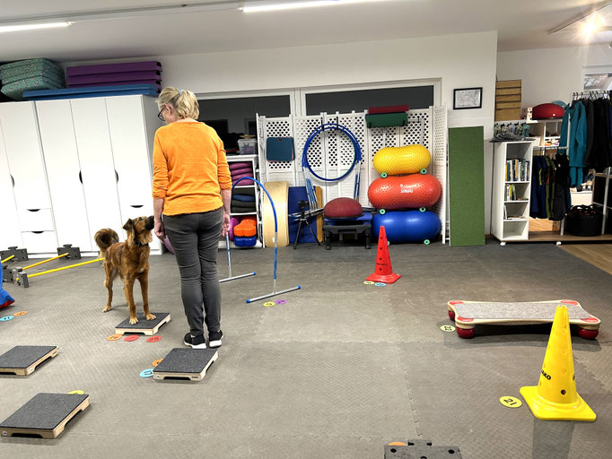 Fitness Loops © Hundeschule gooddog