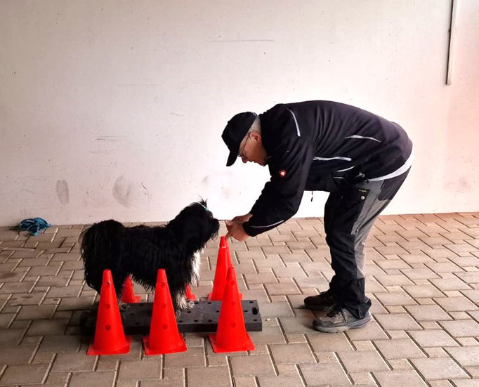 Fitness Loops © Hundeschule gooddog