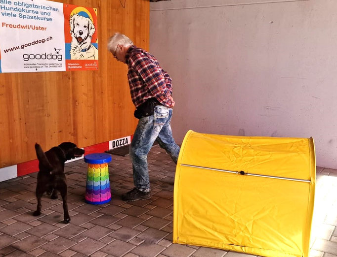 Fitness Loops © Hundeschule gooddog