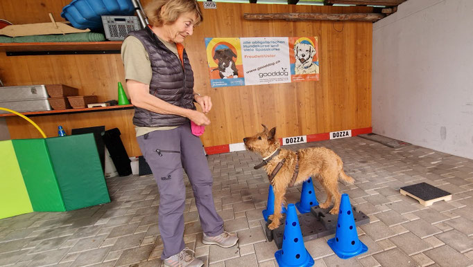 Fitness Loops © Hundeschule gooddog