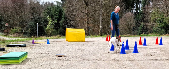 Fitness Loops © Hundeschule gooddog