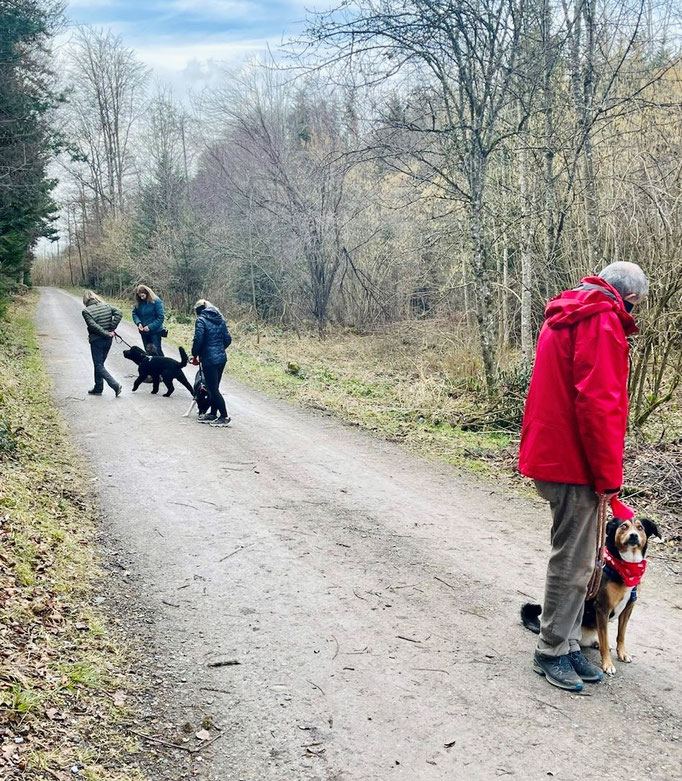 Lernspaziergänge © Hundeschule gooddog