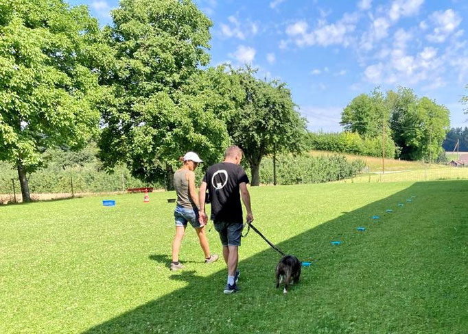 SpassSport © Hundeschule gooddog