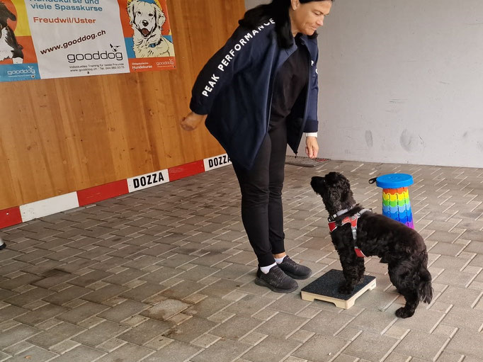 Fitness Loops © Hundeschule gooddog