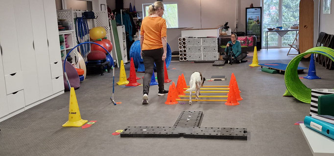 Fitness Loops © Hundeschule gooddog