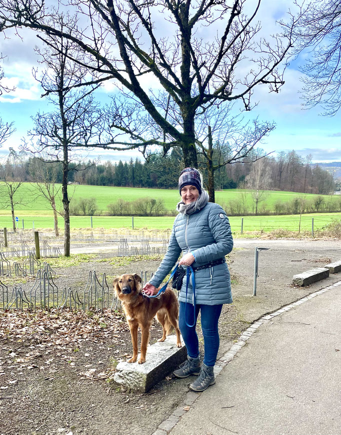 Lernspaziergänge © Hundeschule gooddog