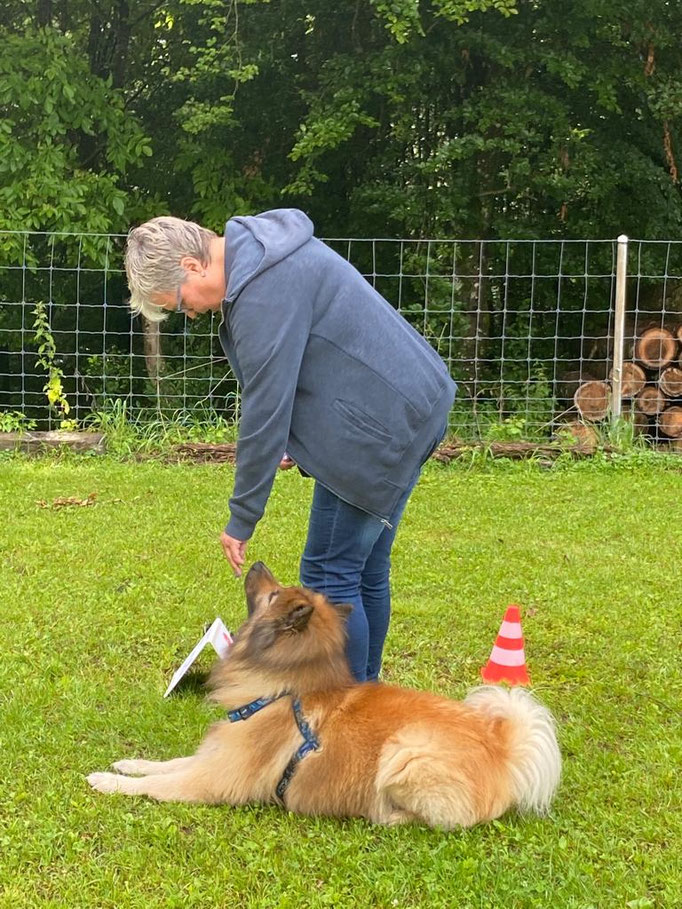 Rally-Obedience © Hundeschule gooddog