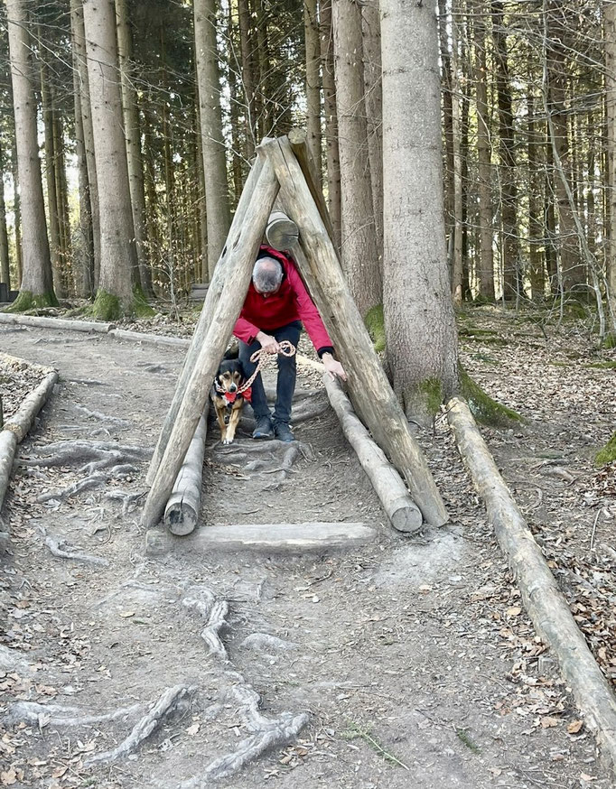 Lernspaziergänge © Hundeschule gooddog