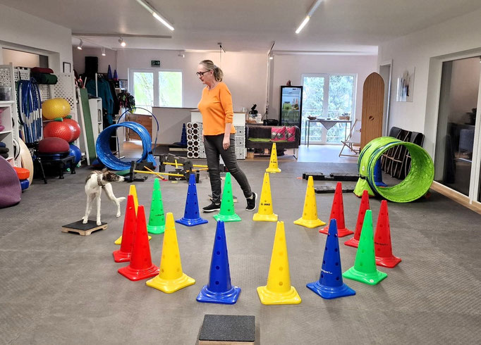 Fitness Loops © Hundeschule gooddog