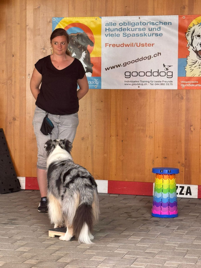 Fitness Loops © Hundeschule gooddog