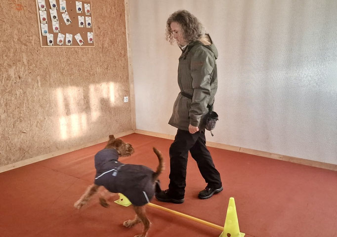 Fitness Loops © Hundeschule gooddog