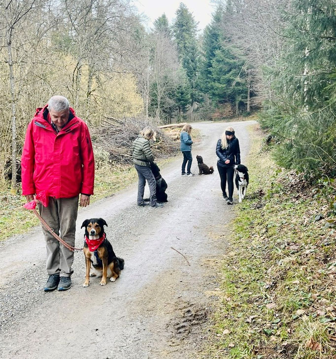 Lernspaziergänge © Hundeschule gooddog