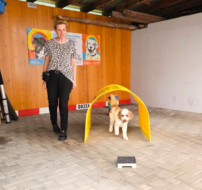 Fitness Loops © Hundeschule gooddog