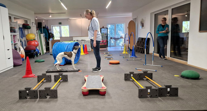 Fitness Loops © Hundeschule gooddog