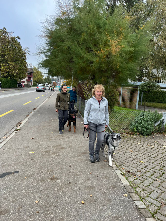 Führung © Hundeschule gooddog