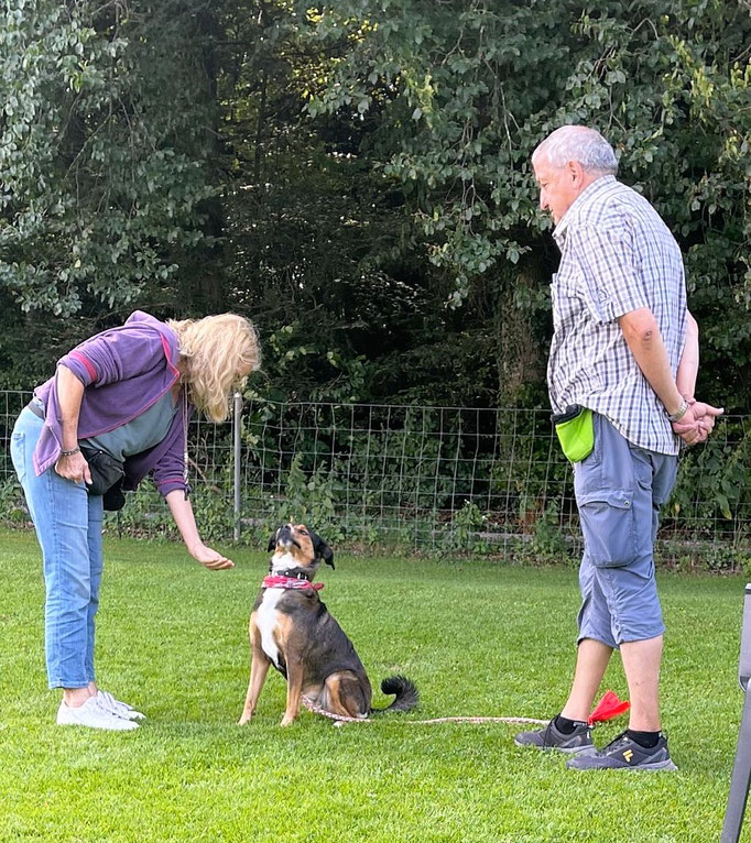 Anti-Giftköder-Kurs @ Hundeschule gooddog