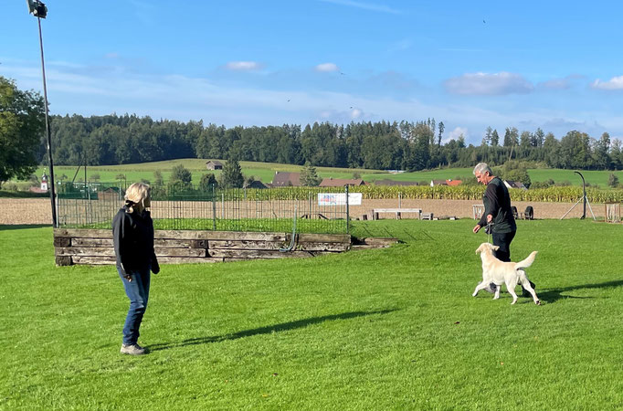 Ringtraining © Hundeschule gooddog