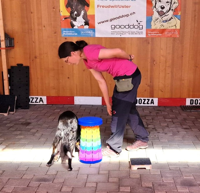 Fitness Loops © Hundeschule gooddog