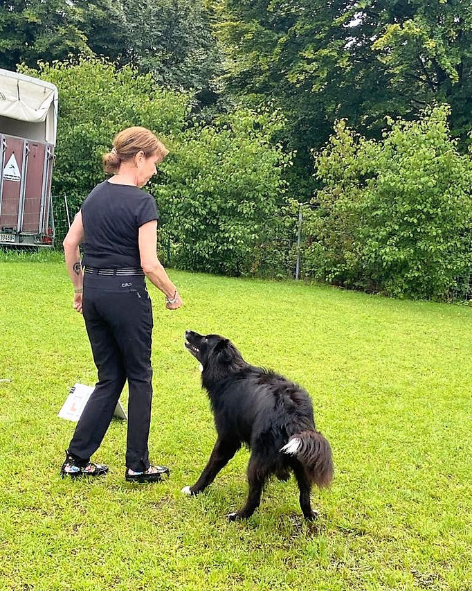 Rally-Obedience © Hundeschule gooddog