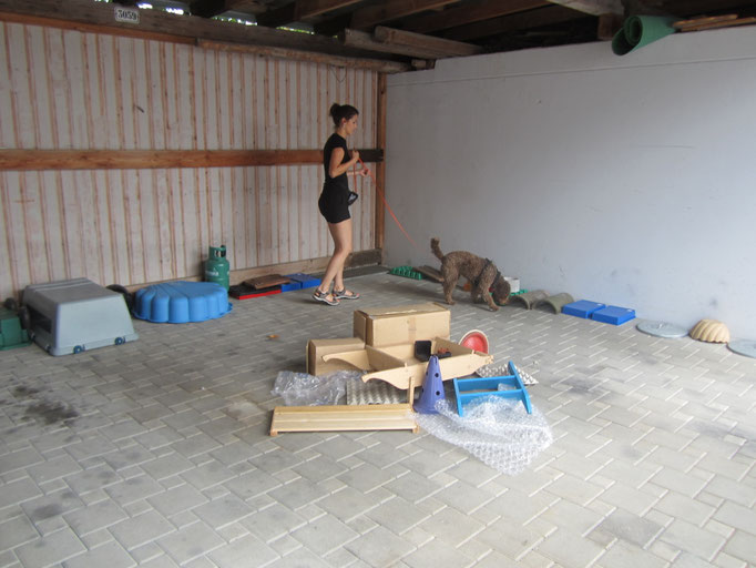 Objektsuche © Hundeschule gooddog