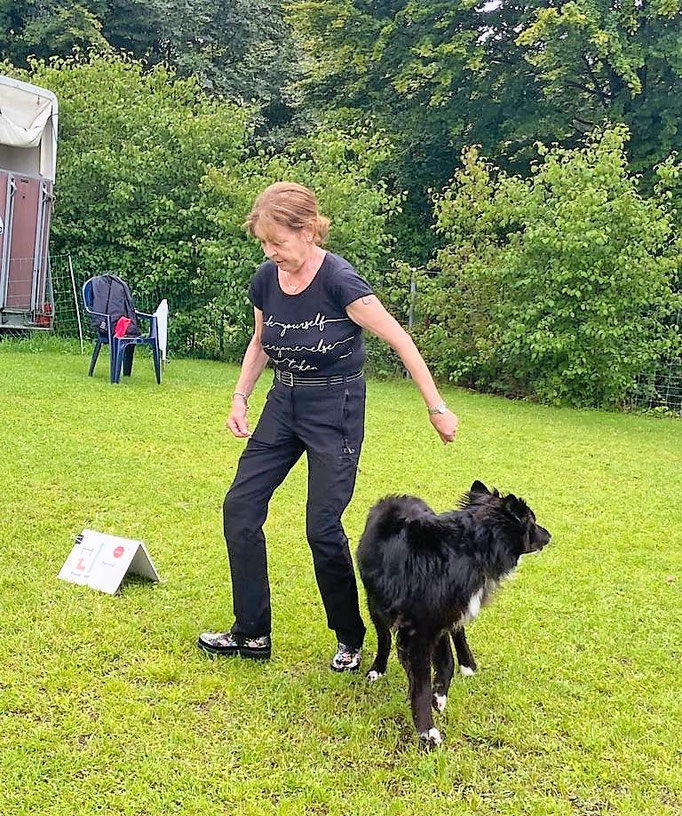 Rally-Obedience © Hundeschule gooddog