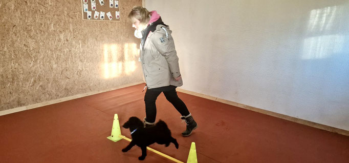 Fitness Loops © Hundeschule gooddog