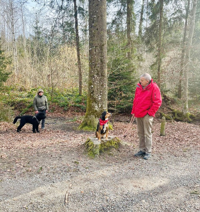 Lernspaziergänge © Hundeschule gooddog