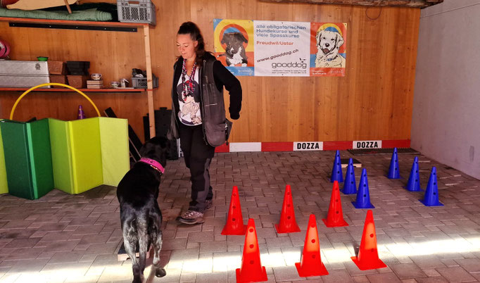 Fitness Loops © Hundeschule gooddog