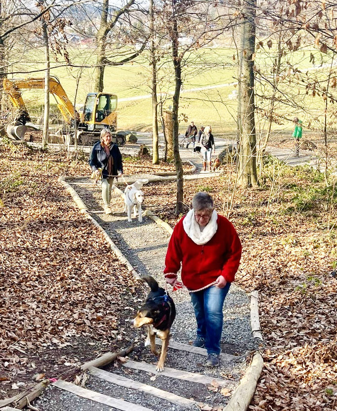 Lernspaziergänge © Hundeschule gooddog