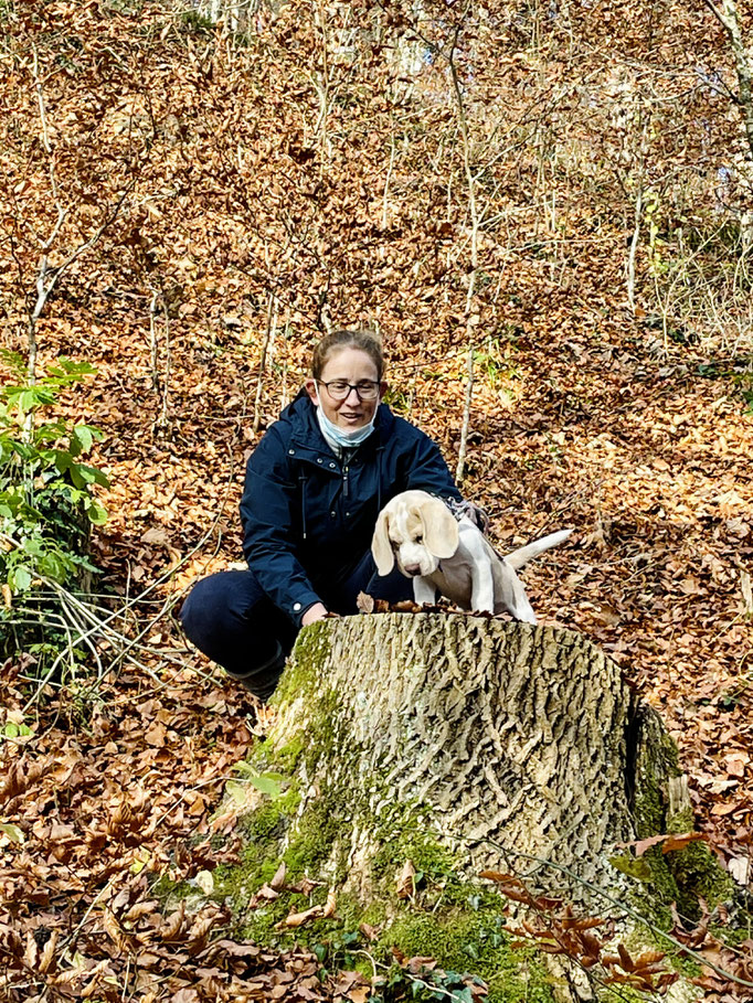 Welpentreffs Bläsimühle © Hundeschule gooddog