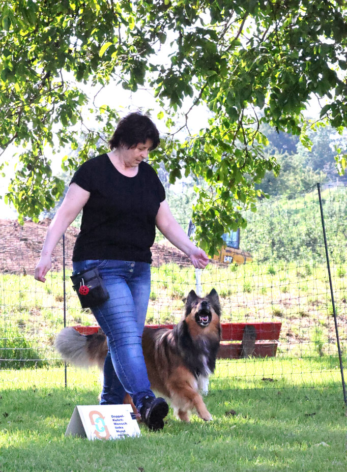 Rally-Obedience © Hundeschule gooddog