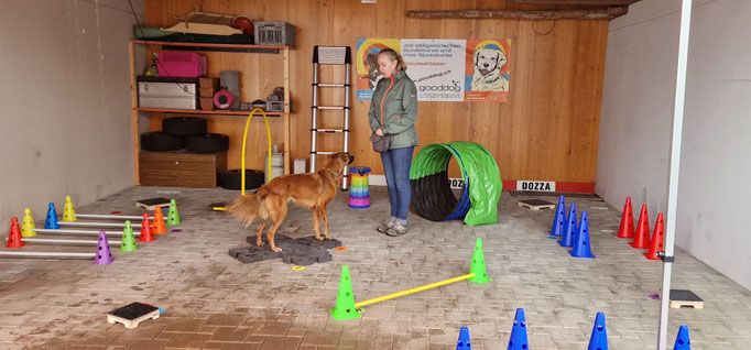 Fitness Loops © Hundeschule gooddog