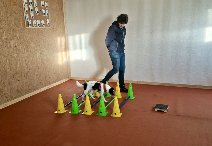 Fitness Loops © Hundeschule gooddog