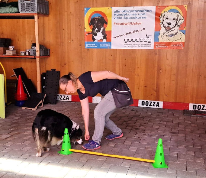 Fitness Loops © Hundeschule gooddog